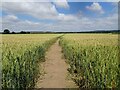 Crop Footpath