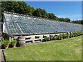 NZ0380 : Greenhouse at Capheaton Hall by Oliver Dixon
