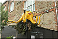 Octopus, Totnes