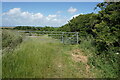 Hamstead Trail towards Wellow