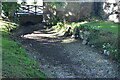 Dry stream bed near Old North Farm House