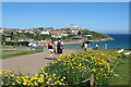 Wildflower planting, Newquay