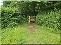 Gate in the Corner of a Field