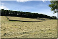 Pasture above the A684 near Bainbridge