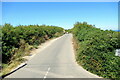 The road to Trevose Head