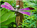 SE2177 : Dragonfly, Himalayan Garden and Sculpture Park by David Dixon
