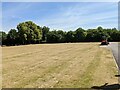 Grassland at Leominster cemetery