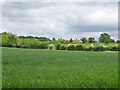 View over fields towards Burnt Farm