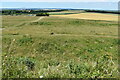 ST9603 : View over the earthworks at Badbury Rings by David Martin