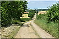 Hardy Way on farm track north of King Down Farm