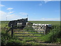 Ruin, Craiglemine