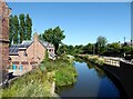 SK5581 : The Chesterfield Canal at Shireoaks by Adrian Taylor