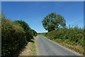 Road north from Kirby Wiske