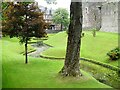 NS0864 : Bute - Rothesay - Castle - Meandering moat by Rob Farrow