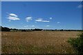 Field south of Brickyard Farm