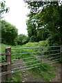 Gate into farmland, Kinnerton Way, Exwick