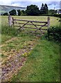 Wooden gate, Llanveynoe