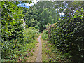 Public footpath 20W, Copthorne