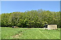 Footpath, grassland and woodland