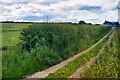 Track towards Primrose Farm