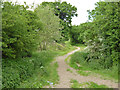 Footpath Cheshunt 49 crosses Theobalds Brook