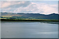 NH7484 : Dornoch Firth, Ness of Portnaculter by David Dixon