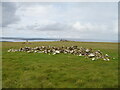 HU6293 : Vord Hill, the high point of Fetlar, Shetland Islands by Michael Earnshaw