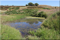 NO2305 : Pond at the limekiln by Bill Kasman