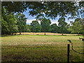 Fields near Haynes Farm, Copthorne