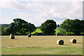 Hay Bales in a Field near Tain Asda