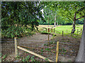 Recently fenced dry pond