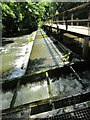 River Wey Navigation - Tumbling Weir