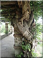 Part of the pergola at Well Hall Pleasaunce