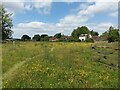 Meadow near Colwall