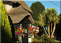 SX9268 : Thatched Tavern, Maidencombe by Derek Harper
