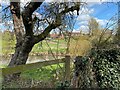 Partial view of Stoneleigh from footpath W157