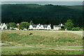 Houses near Culcairn