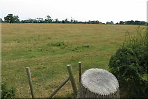 SP5770 : Pasture near Kilsby Grange by Philip Jeffrey