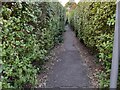 Path between Brim Hill and Abbots Gardens