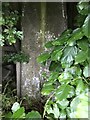 Brunton Bridge Trig Point