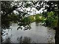 A Glimpse of the River Ness