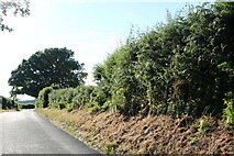SU5777 : Aldworth Road near Ashampstead by David Howard