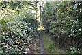 Footpath to Riding Lane