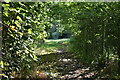 Footpath to Coldharbour Lane