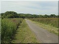 Mynydd Bach Common, Cefn Cribwr (2)