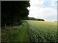 Permissive path alongside Epperstone Park