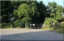 SU5981 : Farm track off Wallingford Road, Streatley by David Howard