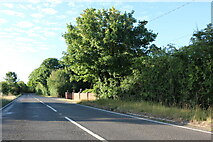 SU6087 : Reading Road entering Wallingford by David Howard