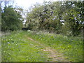 Public bridleway south east of Lidlington (1)