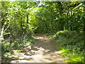 Public bridleway on Jackdaw Hill (1)